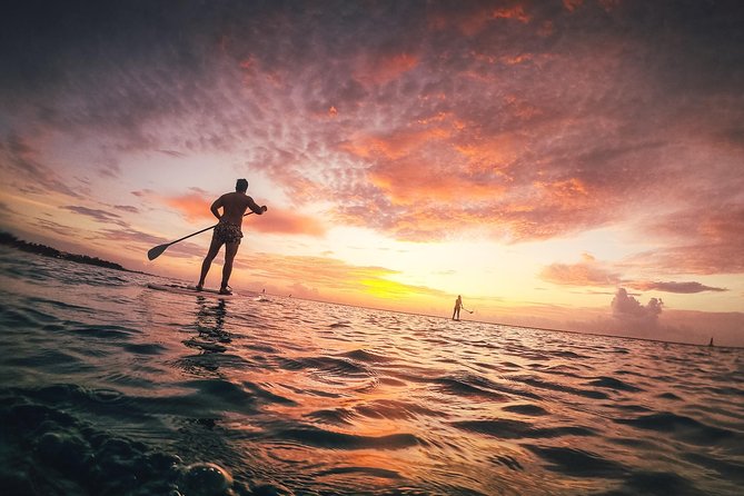 Playa Del Carmen Paddleboard: Sunrise Guided Paddle - Meeting and Pickup Details