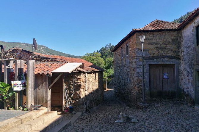 Porto Mountains Half-Day Small-Group Hiking Tour - Common Questions