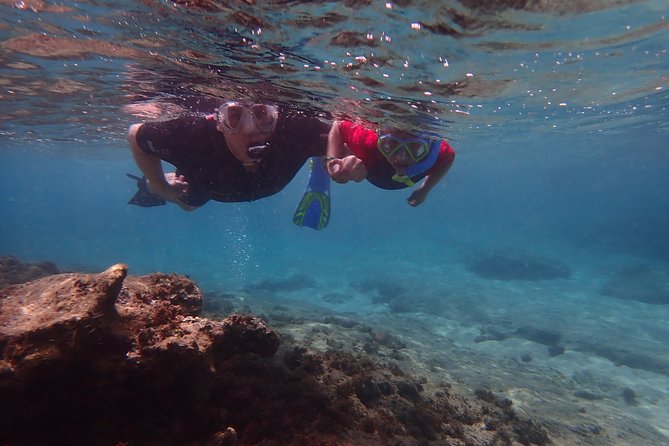 Porto Santo Snorkeling Tour - Important Terms and Conditions