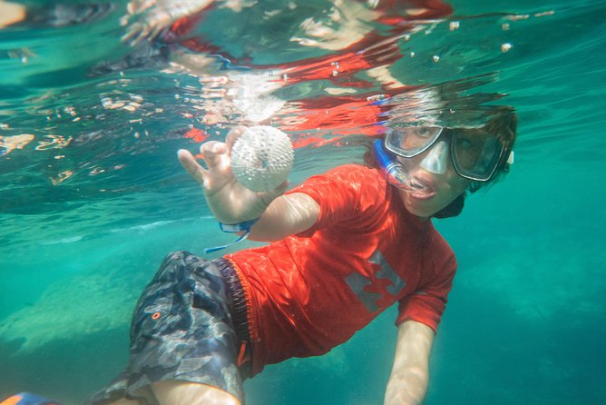 Premium Family Snorkeling Experience - Additional Information