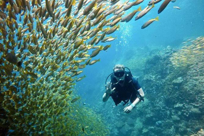 Premium Guided Scuba Diving Day Trip for Certified Divers - Cancellation Policy and Refunds
