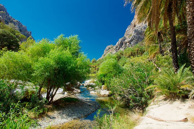 Preveli Palm Beach Boat Cruise & Rethymnon Town From Heraklion - Reviews