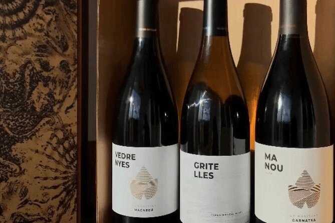 Priorat Wine Tasting Tour From Salou - Tour Experience
