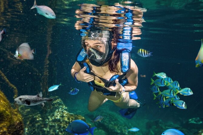 Priority Access: Xel-Há All-Inclusive Day Trip With Transportation - Cancellation Policy