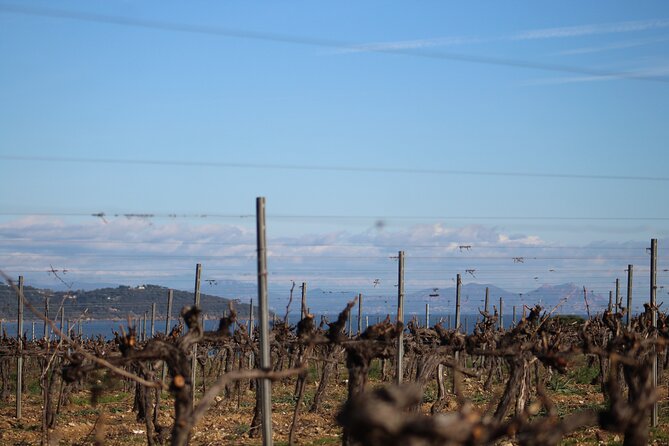 Private 1/2 Day Wine Tour St-Tropez - Cancellation Policy and Support