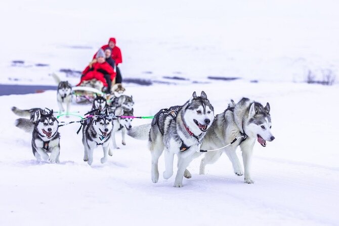 Private 2-Hour Dog Sledding Tour, Akureyri - Cancellation Policy