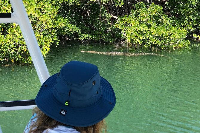 Private 2 Hour Mangrove Ecotour - Cancellation Policy