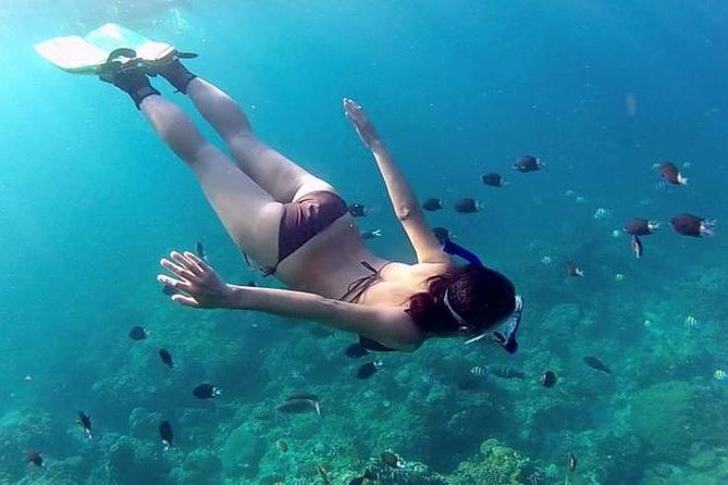 Private 3-Hour Snorkeling Tour on Glass Bottom Boat - What to Expect
