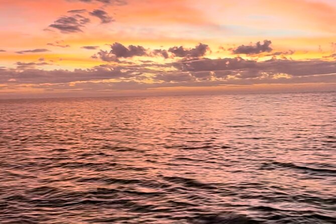 Private 3 Hour Sunset Cruise in 10,000 Islands Naples, FL - Common Questions