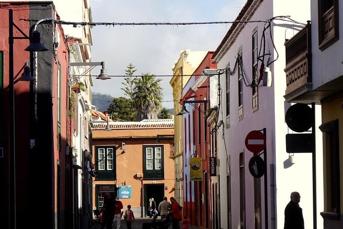 Private 4-Hour Tour to UNESCO Heritage La Laguna From Tenerife With Driver/Guide - Professional Driver/Guide Services