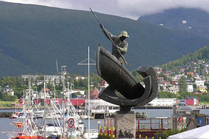 Private 5 to 7 Hours Northern Lights Tour in Tromsø With Hotel Pick up - Questions and Support