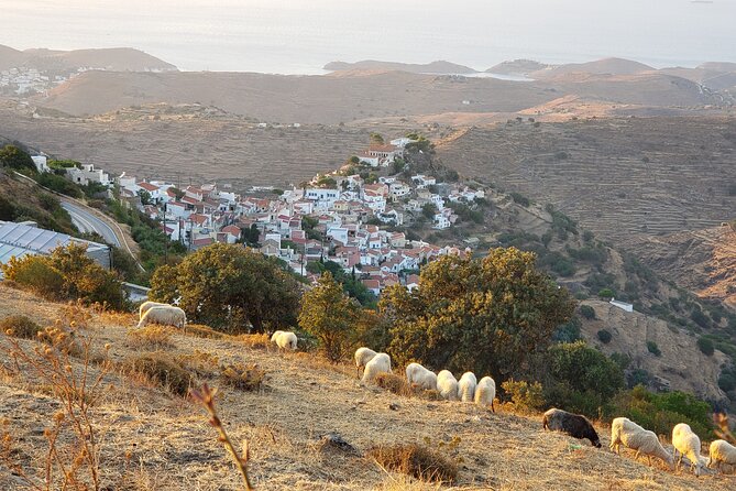 Private 6-Day Tour Discovering Greece and Live Like an Islander - Reviews