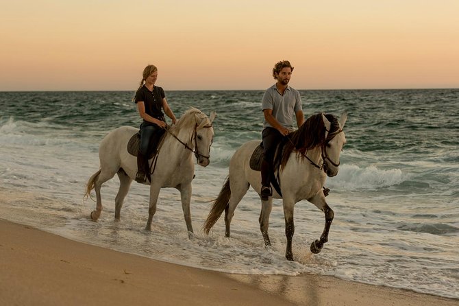 Private 75-Minute Horseback Riding Excursion on the Beach in  - Setubal District - Meeting and Pickup
