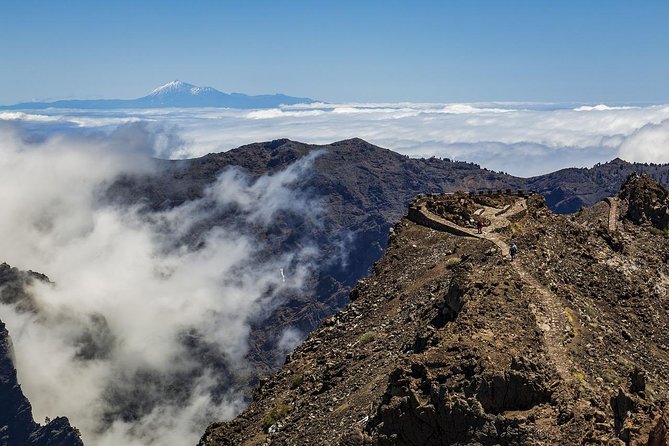 Private 8-Hour Shore Excursion to El Teide Cable Car With Guide and Driver - Questions and Additional Information