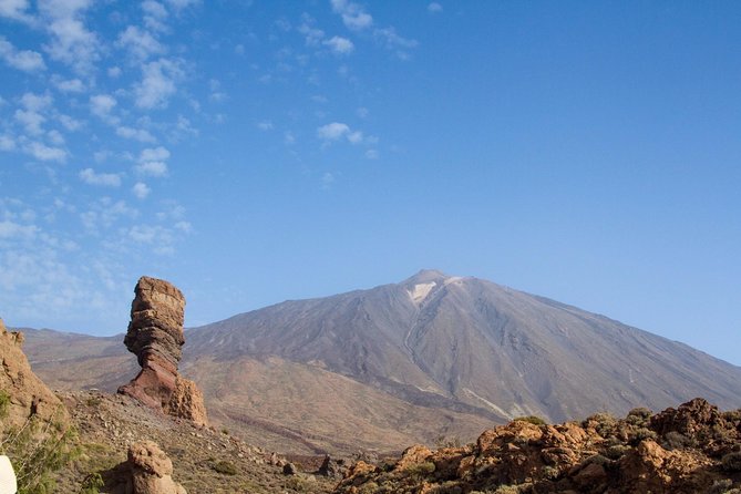 Private 8 Hours Tour to El Teide From Tenerife Hotel With Driver/Guide - Inclusions