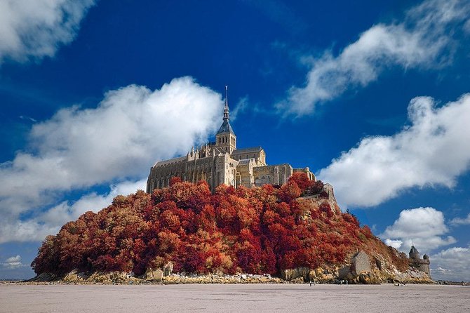 Private 9-Hour Tour to Mont St-Michel From Le Havre - Transportation Options