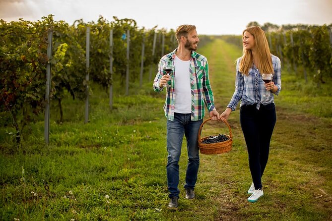 Private Afternoon Wine-Tasting Tour of Niagara, Ontario  - Niagara Falls & Around - Traveler Photos