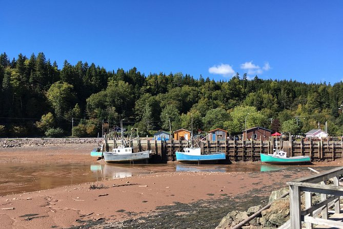 Private All-Day Tour of New Brunswick by Bus  - Saint John - Traveler Photos and Reviews