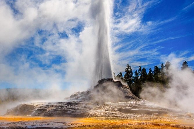 Private All-Day Tour of Yellowstone National Park - Meeting, Pickup, and Cancellation Policies