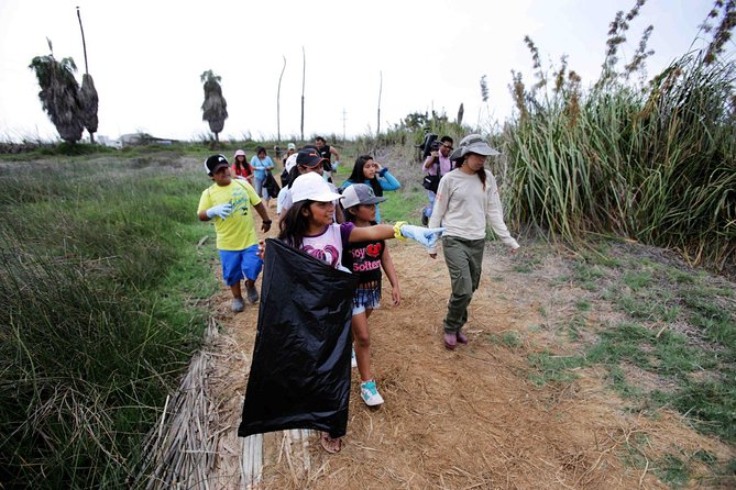 Private and Exclusive Nature and Trek in Chorrillos - Cancellation and Refund Policies