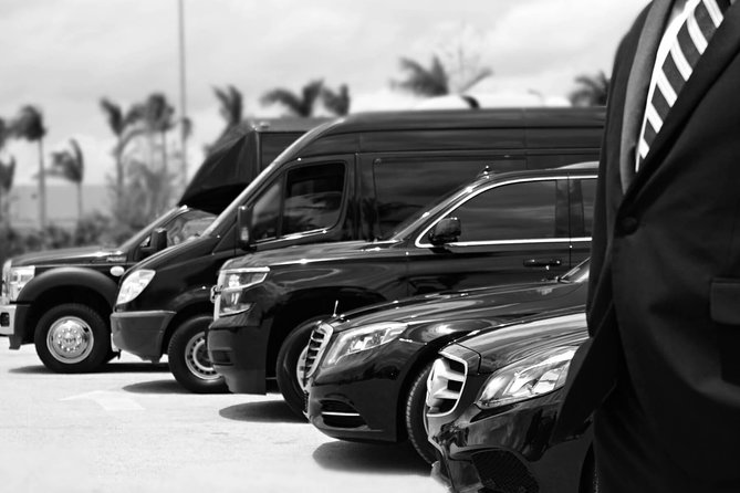 Private Arrival Transfer From Santorini Port To All Destinations - What to Expect and Accessibility