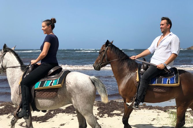 Private Beach Horseback Ride With Sandy Hoofs St. Lucia - Overview and What to Expect