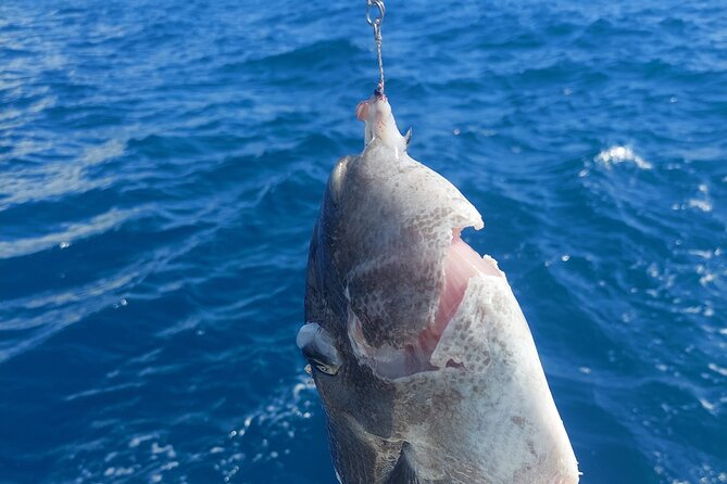 Private Big Game Fishing Tour in Raiatea - Contact Information