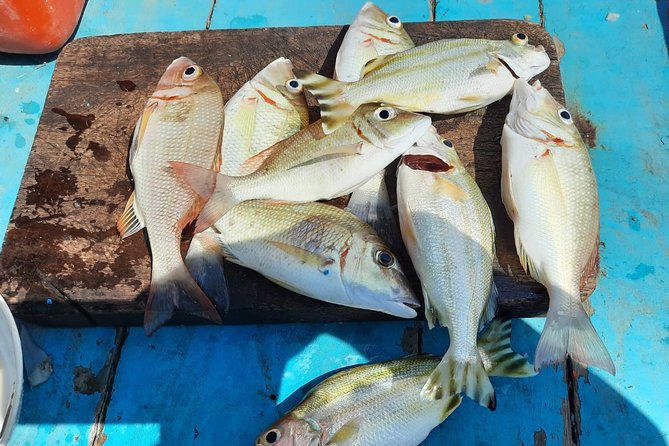 Private Boat Big Game Fishing Day Trip From Koh Samui - Additional Information