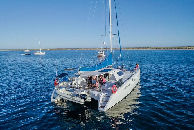 Private Boat Tour Through the Faro Islands - Flora and Fauna Exploration