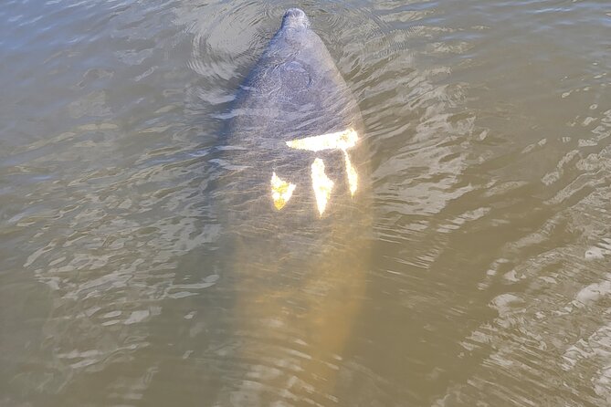 Private Boat Tour up to 12 People Fort Myers Beach and Sanibel - Cancellation Policy