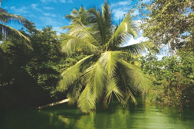 Private Boat Trip With Guide on the Most Beautiful Lagoon of Guadeloupe - Common Questions