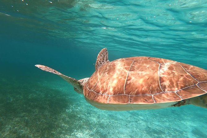 Private Boating Adventure for Snorkeling or Fishing in Nassau - 55ft Boat - Explore Top Snorkel Sites in the Bahamas