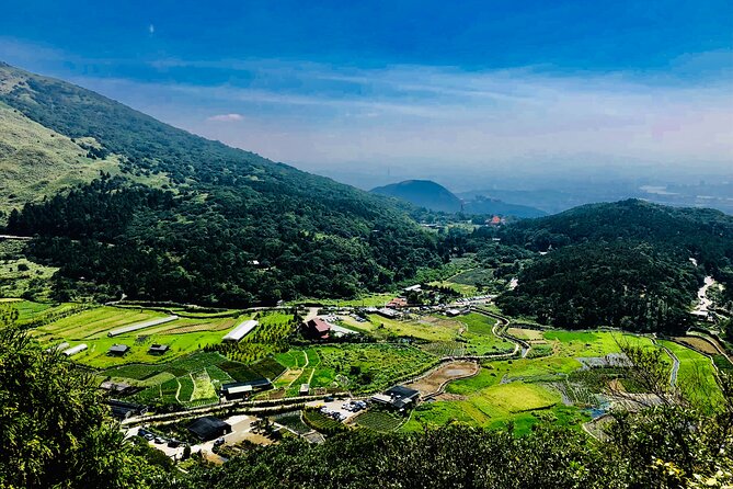 Private Car Charter in Yangmingshan Park(Pro Guide Driver) - Questions