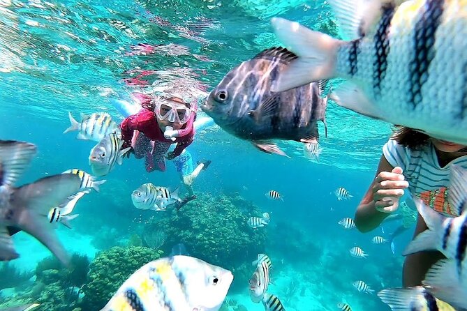 Private Charter 28ft Grady White. Stingrays, Snorkeling, Starfish - Exploring Hidden Coves and Beaches