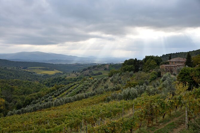 Private Chianti Wine Tour - Explore Castellina in Chianti