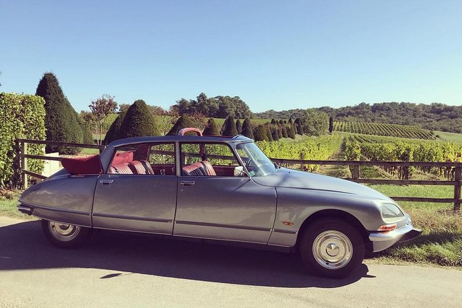 Private City Tour of Bordeaux With Wine Tasting at a Chateau - 3H - Wine Tasting Option