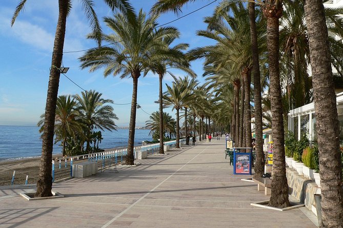 Private City Tour of Marbella and Puerto Banús With Hotel Pick-Up - Tour Highlights