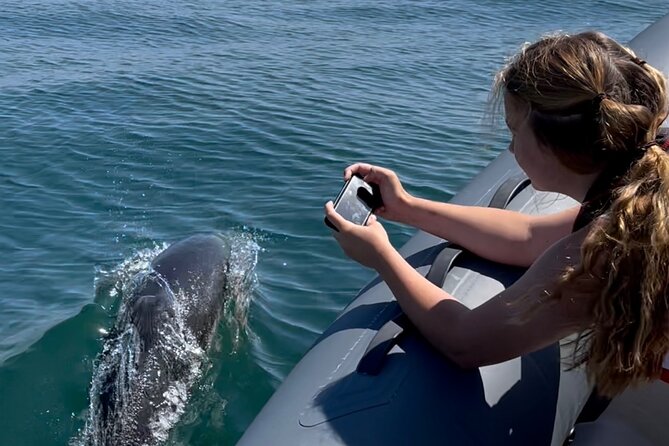Private Coastal Boat Tour in Torquay - Meeting and Pickup