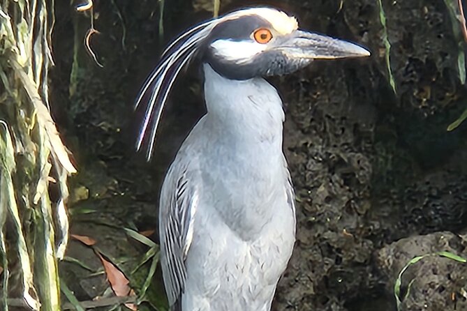 Private Crystal River Wildlife Boat Tour - Meeting Point Information