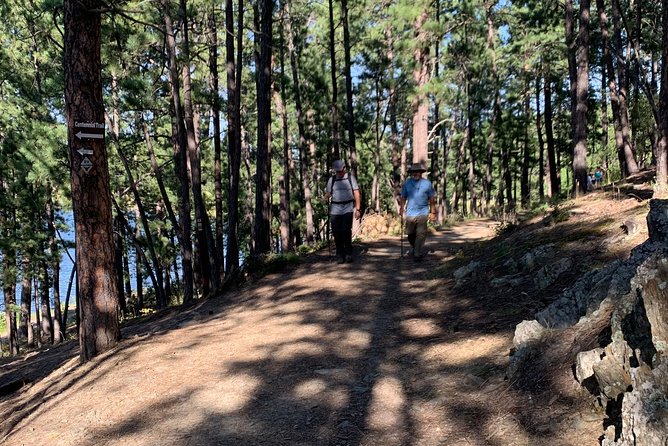 Private Custer State Park Safari and Hiking Tour - Cancellation Policy