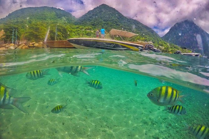 Private Custom Coastal Cruise St. Lucia Half Day - Itinerary Highlights