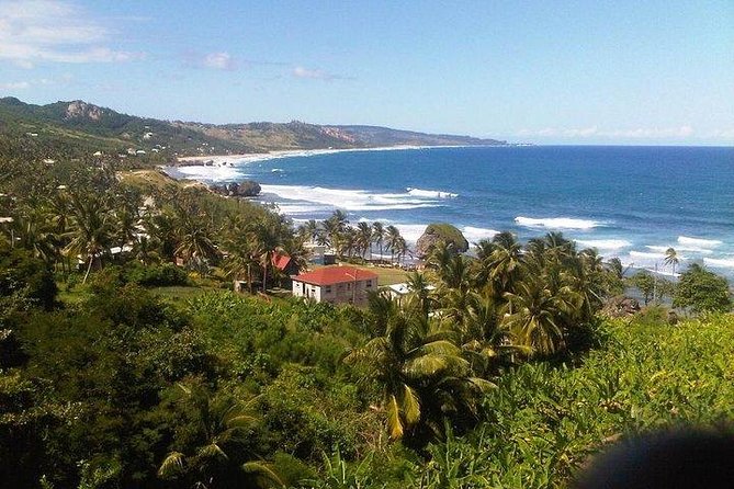 Private Customized Island Tour of Barbados - Customized Tour Experience
