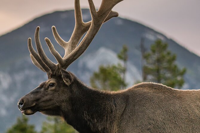 Private Day Tour and Hike in Rocky Mountain National Park - Meeting and Pickup Details