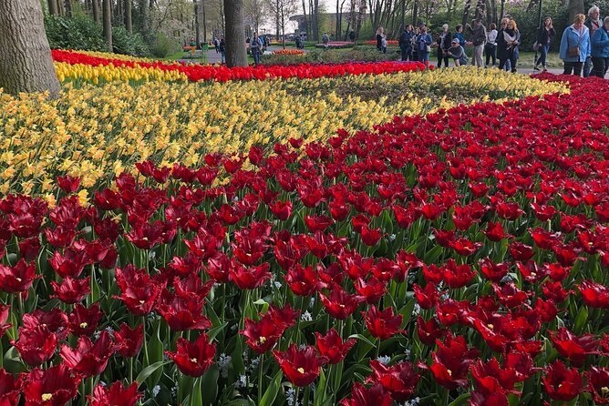 Private Day Tour to Keukenhof Flower Fields and Delft City - Private Transportation