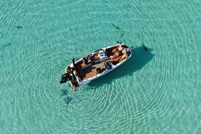 Private Day Trip Hike and Boat in Moorea - Additional Information and Booking Details