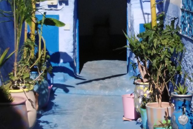Private Day Trip to Chefchaouen From Fez - Air-conditioned Vehicle and Bottled Water