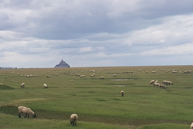 Private Day Trip to Mont Saint-Michel From Saint-Malo With Local Driver-Guide - Pricing and Availability
