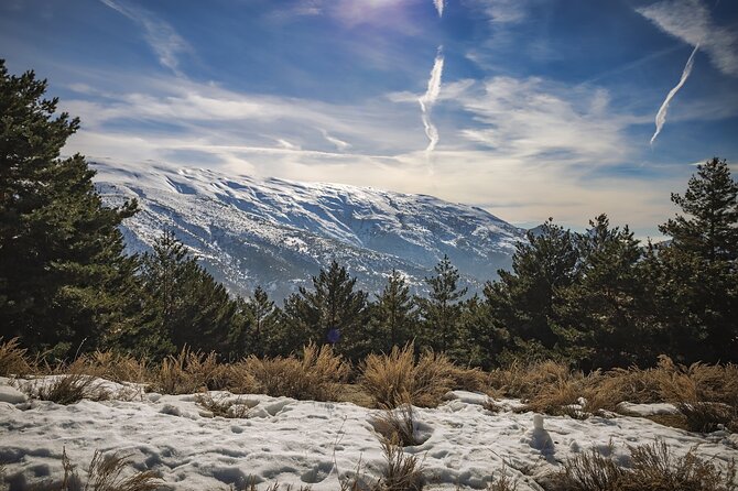 Private Day Trip to Sierra Nevada From Granada With a Local - Sierra Nevada Itinerary
