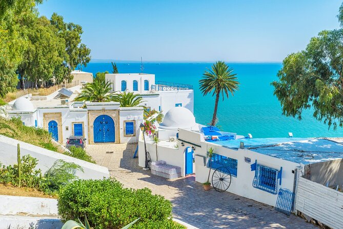 Private Day Trip Tunis Carthage Sidi Bou Said - Terms and Conditions