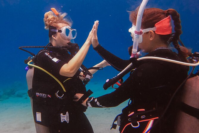 Private Discover Scuba Dive Experience in Curaçao - Next Steps: Continuing Your Diving Journey